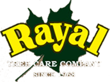 Rayal Tree Services